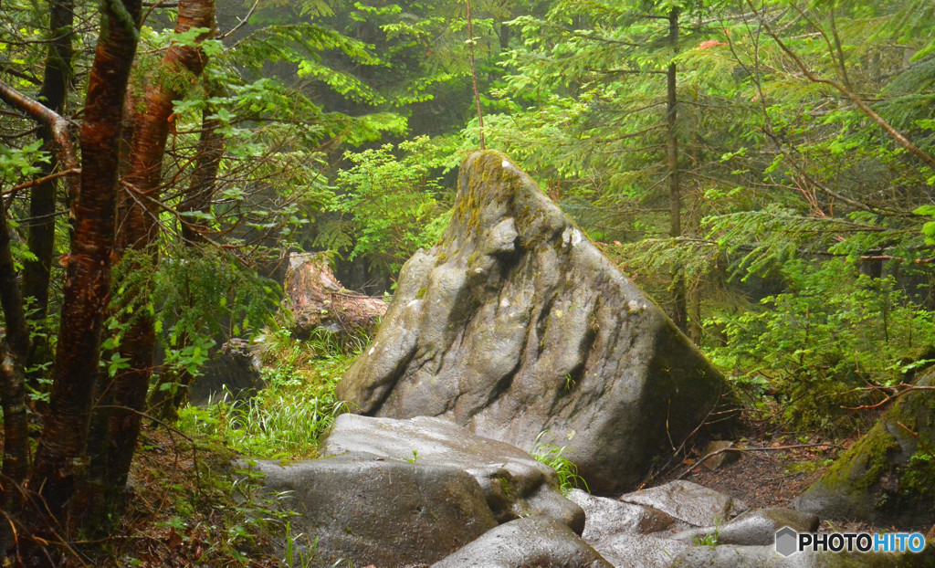 高見石〜白駒池にて２