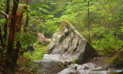 高見石〜白駒池にて２
