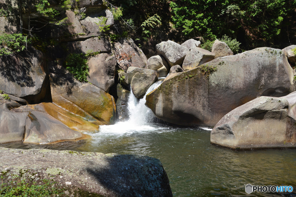 水飲み場に集合「何体見つかるかな？」