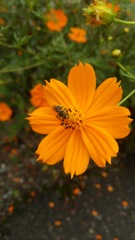 栃木県　出流ふれあいの森２（スマホ撮影）