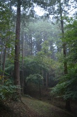 大田原ふれあいの丘１