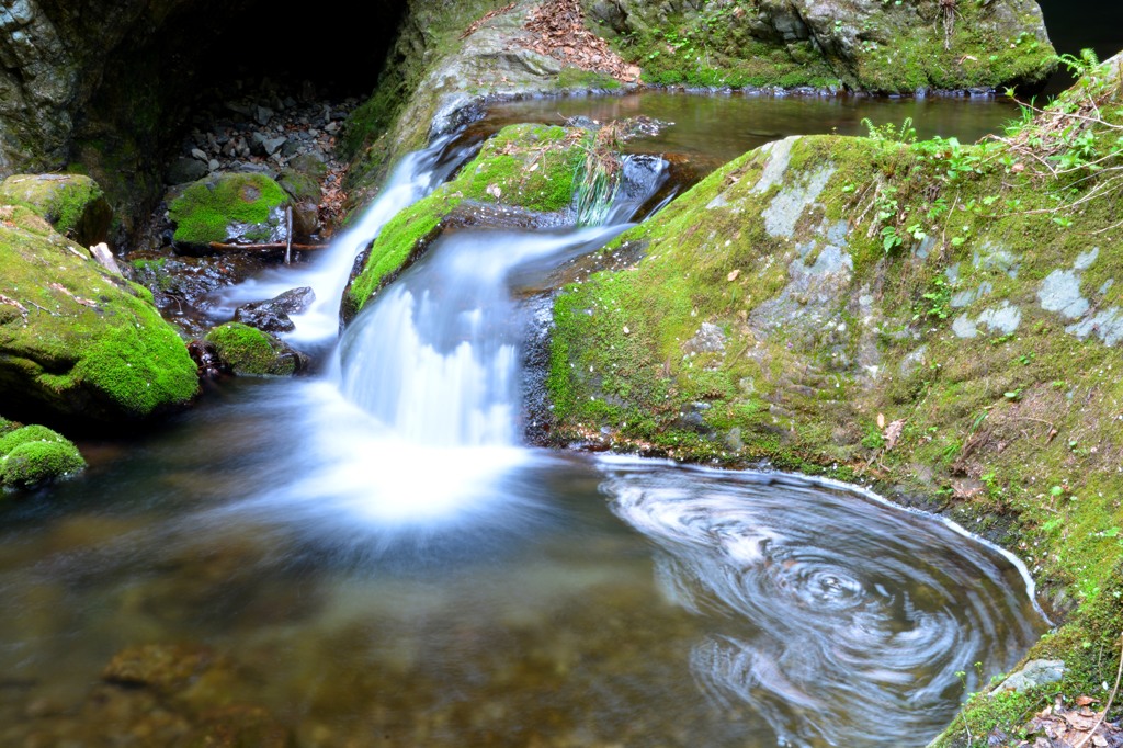 奥多摩　海沢渓谷にて　１