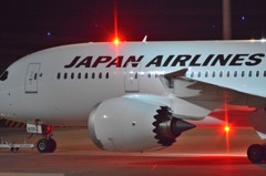 夜のJALも良い感じ