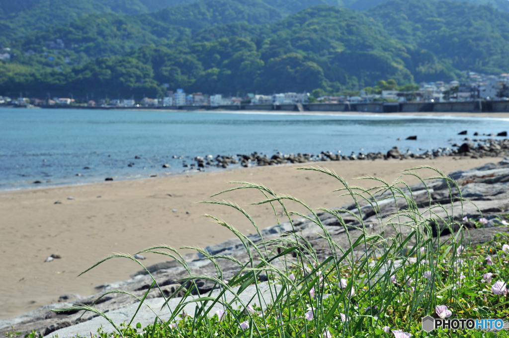 宇佐美海岸にて３