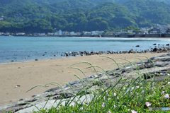 宇佐美海岸にて３