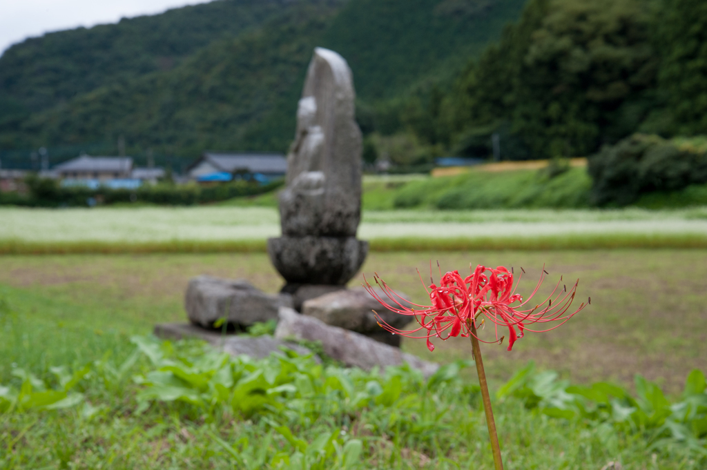 和、、、日本