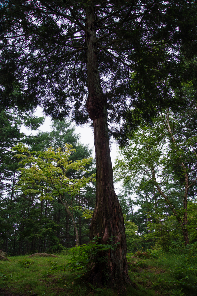 伊香保森林公園にて３