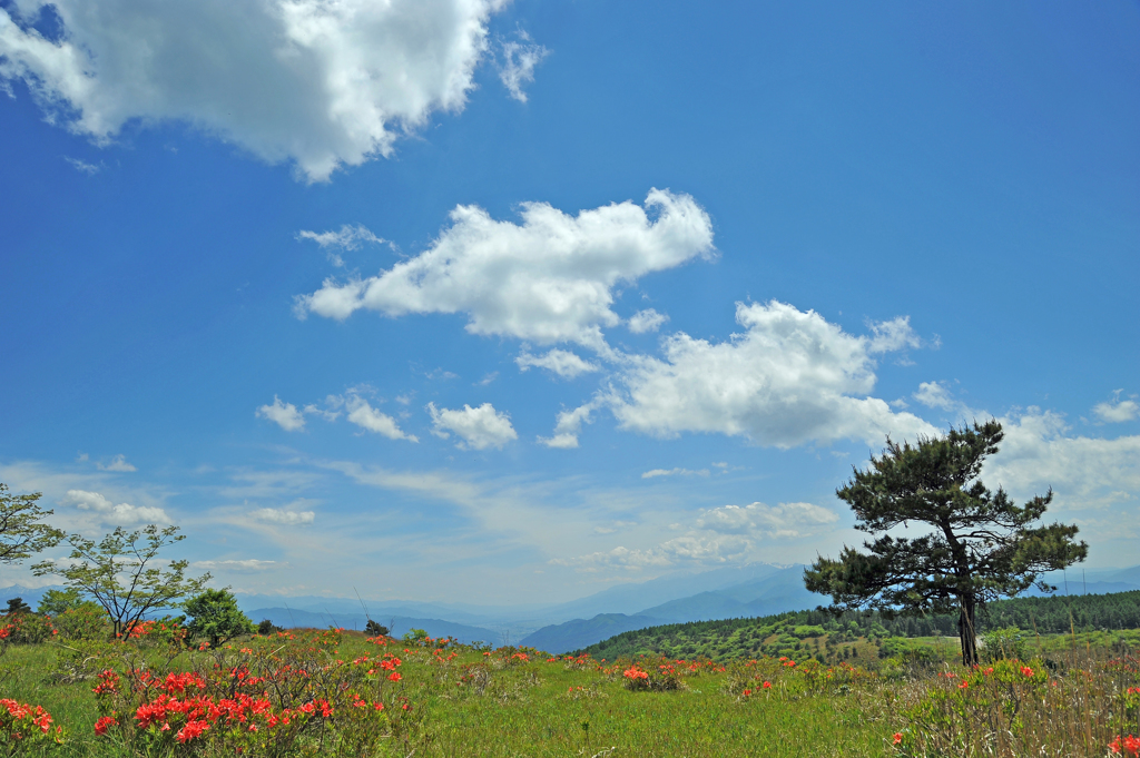 大空と、、、、２