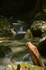 そよそよと、、、竜化の滝への途中にて