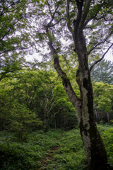 伊香保森林公園にて１