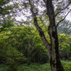 伊香保森林公園にて１