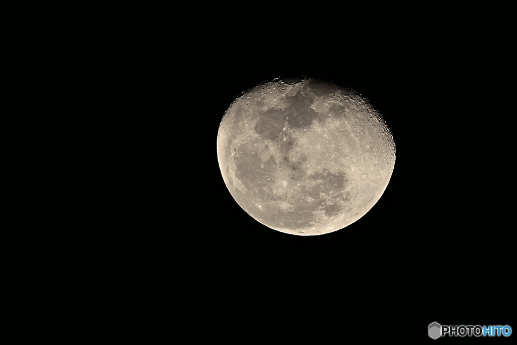む〜ん　200-500mm＋TC-14EII＋1.3クロップ