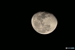 む〜ん　200-500mm＋TC-14EII＋1.3クロップ