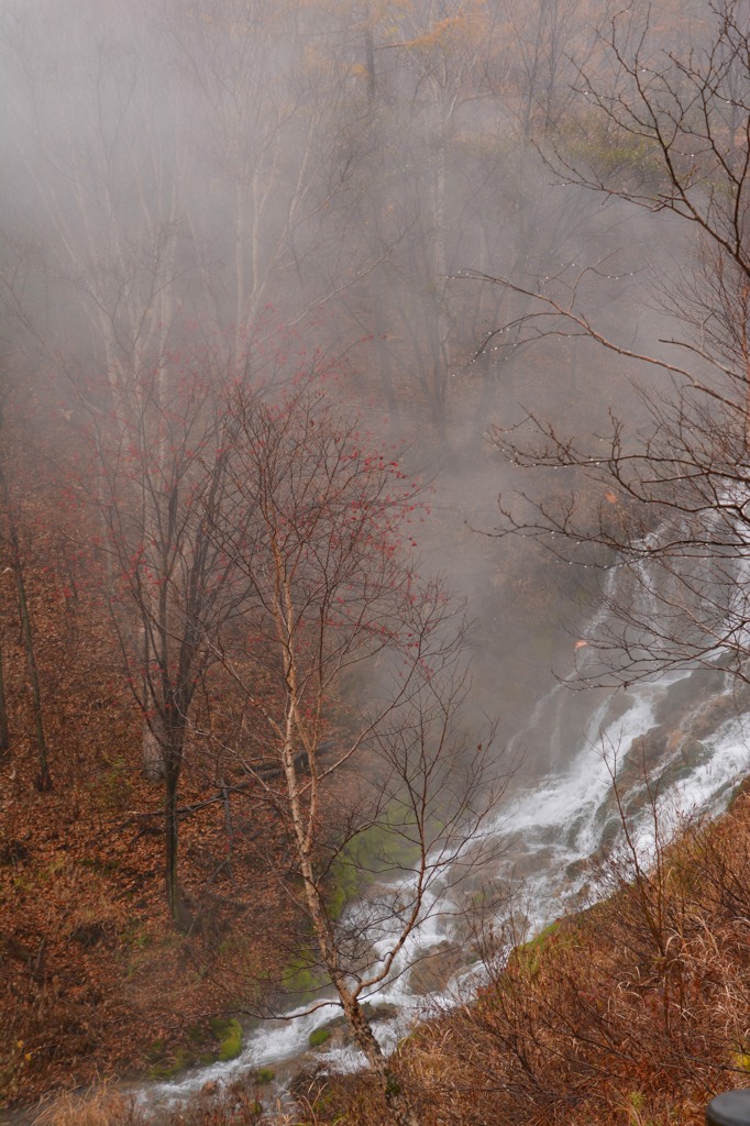 ガスさいこう！！