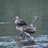 井頭公園にて