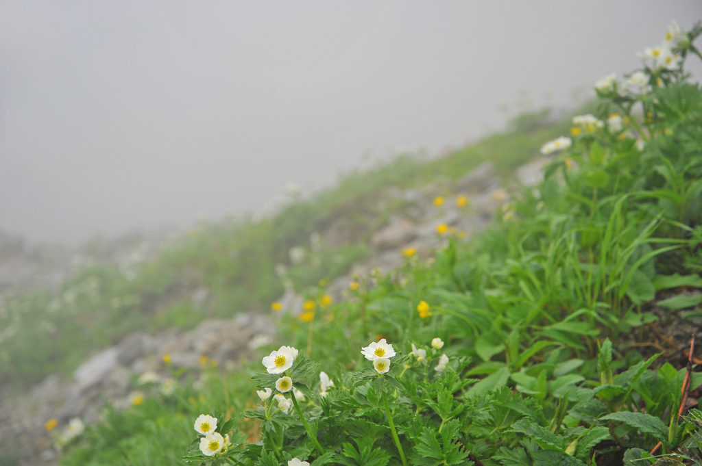 木曽駒ケ岳にて15
