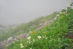 木曽駒ケ岳にて15