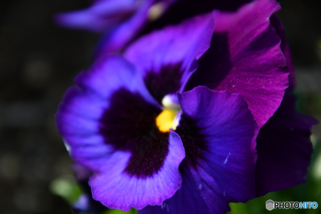 コンビね〜ション！