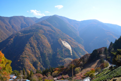 下栗の里