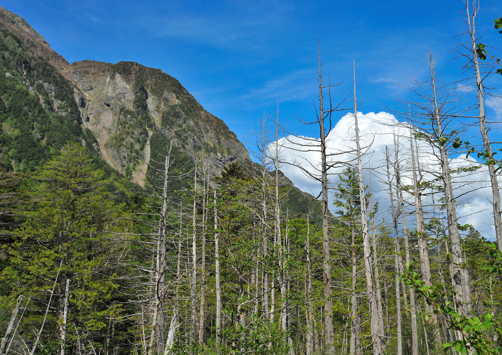上高地でのひと時