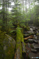 高見石〜白駒池にて５