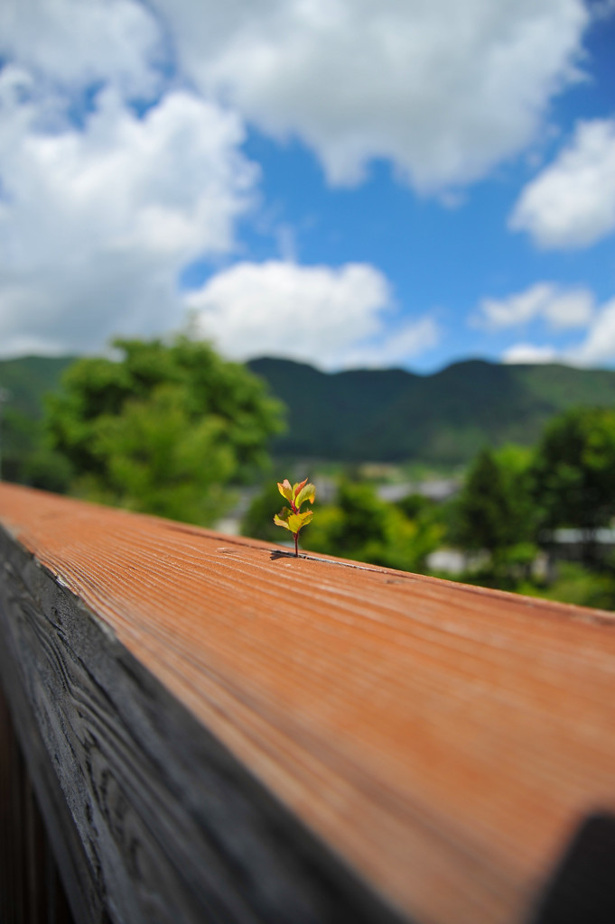 こんなところに、、、２