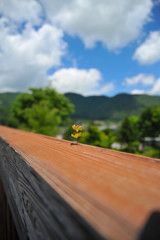 こんなところに、、、２