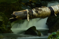 流れにのまれず