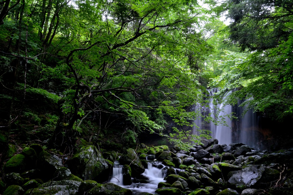 栃木県　乙女の滝２