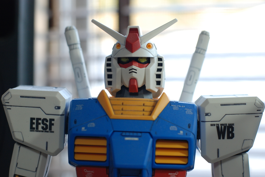 D80試し撮影＜その４＞