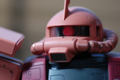 マクロテスト２＜D8０撮影＞