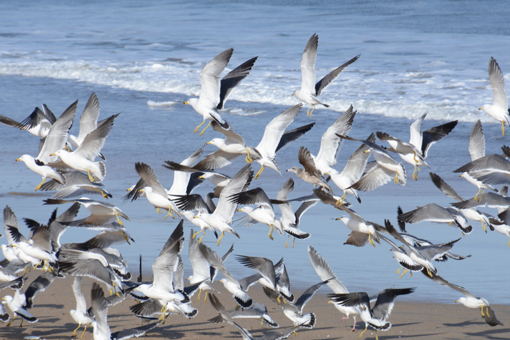 日立の海岸にて１