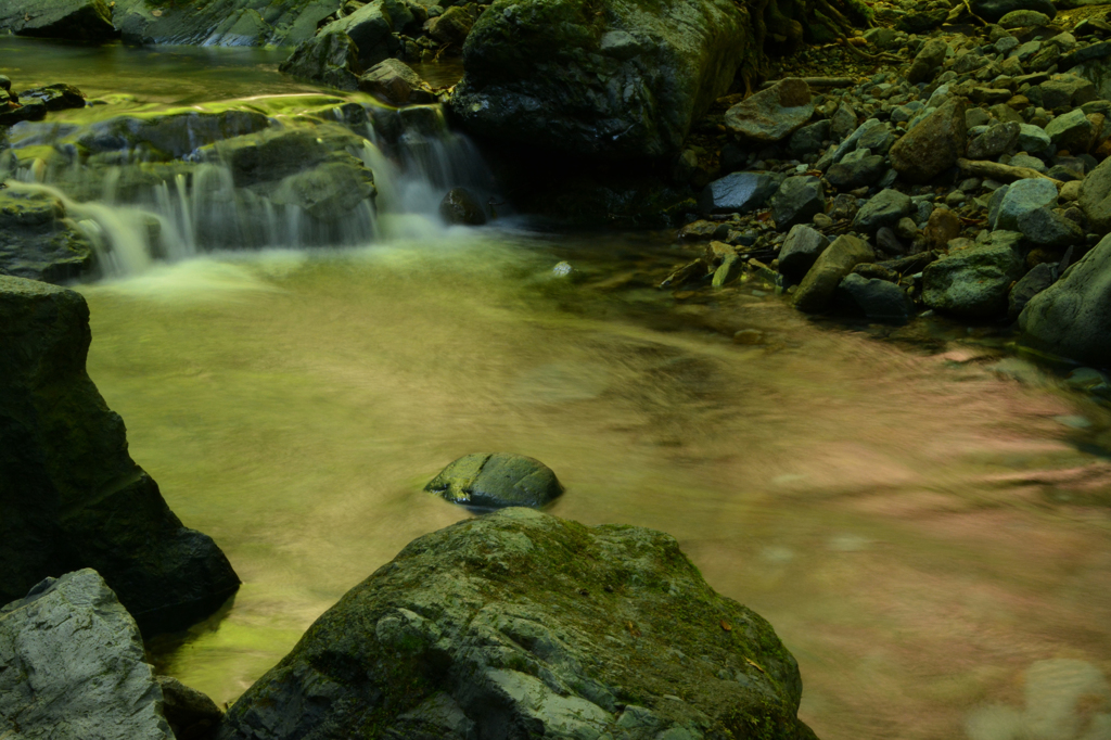 黄金の時、、、