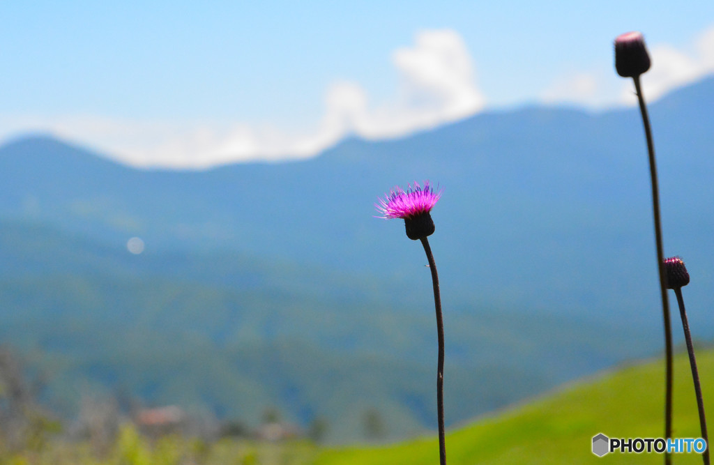 ワンポイント！