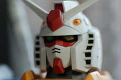 マクロテスト１＜D8０撮影＞