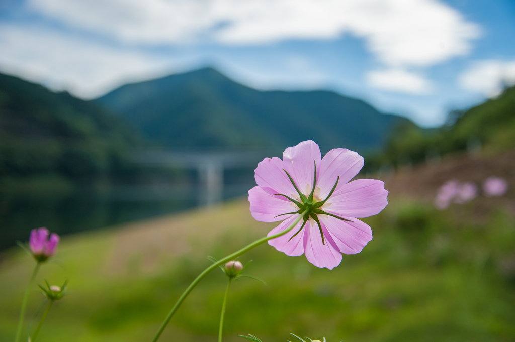 透明感、、、