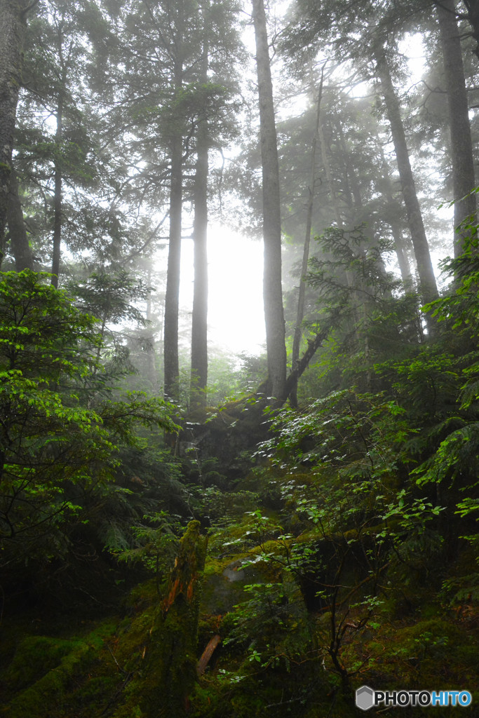 高見石〜白駒池にて１