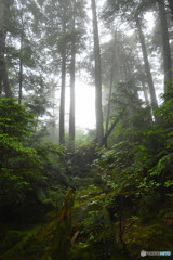 高見石〜白駒池にて１