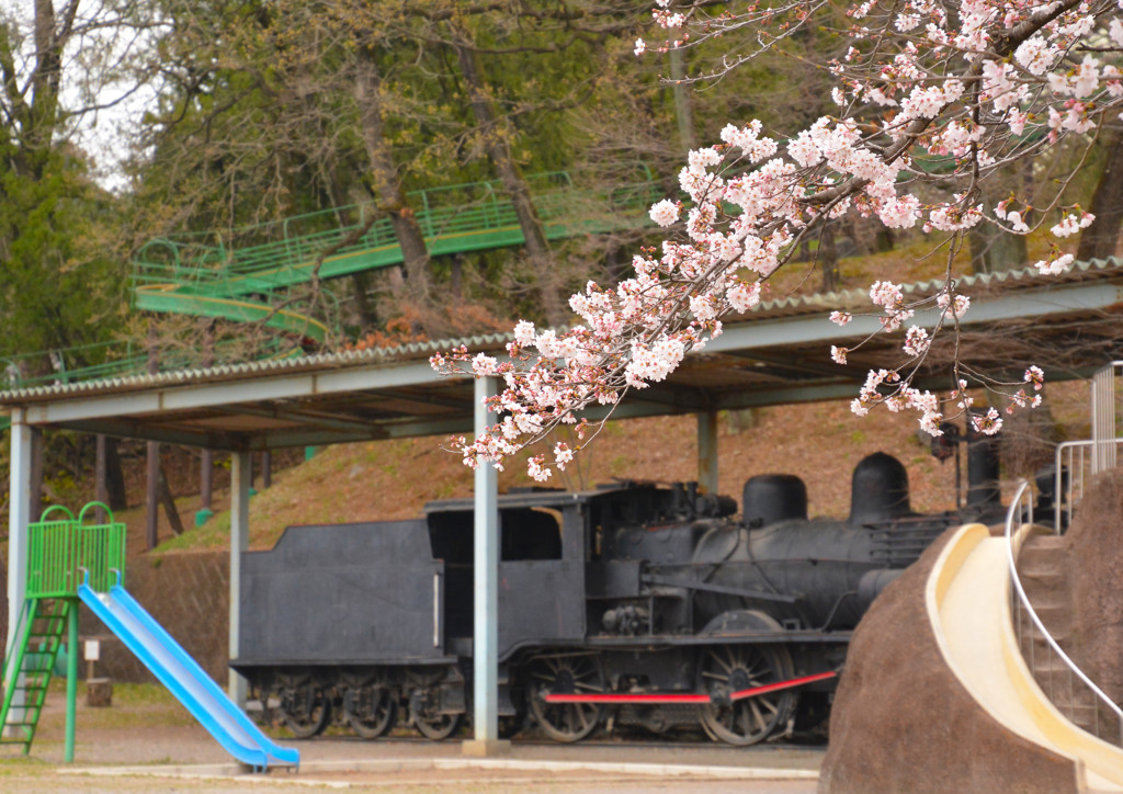 嘉多山公園にて１＜葛生＞