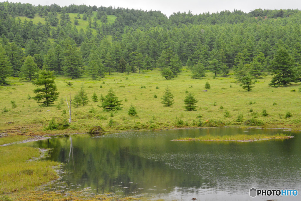 長野県　池の平湿原　鏡池にて２