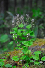 上高地でのひと時