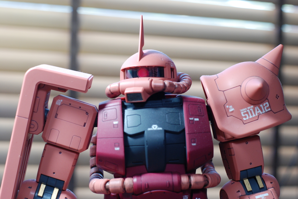 D80試し撮影＜その２＞