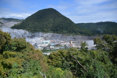 自然が、、、、