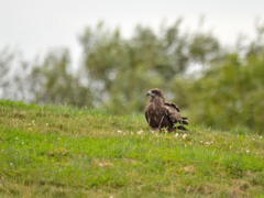 札幌　茨戸川緑地にて　１