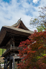 赤、赤、赤、、、