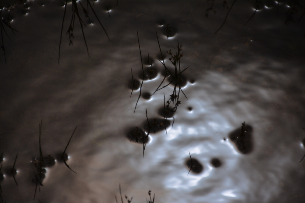 光のいたずらっ子１