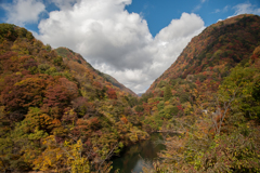 紅絨毯
