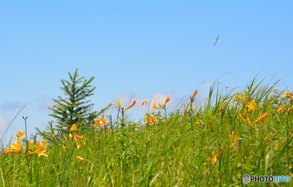 さりげなくコラボ！