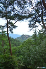 昇仙峡　ロープウェイ　頂上から