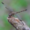 井頭公園にて